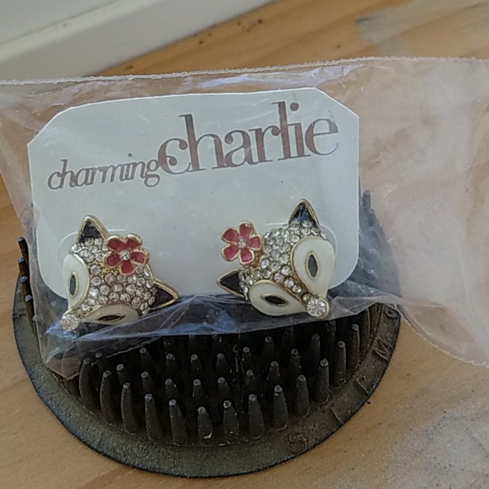 Earrings